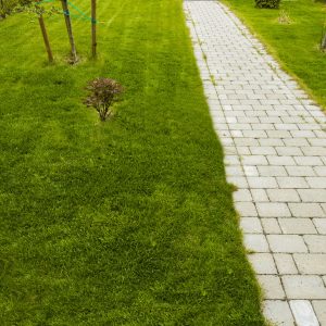 Dressjord Grusexpressen